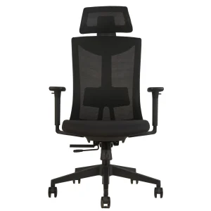 Executive office chair