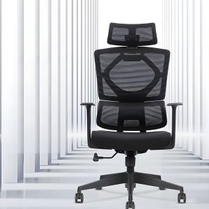 Mesh director's office chair